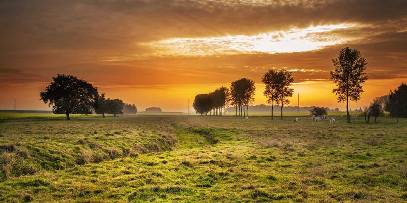 从手链到项链：可持续时尚如何重塑你的环保酷饰衣橱