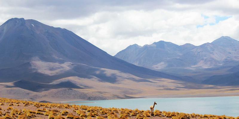 从菌丝体到海洋塑料：揭秘下一代环保潮流单品的材料革命