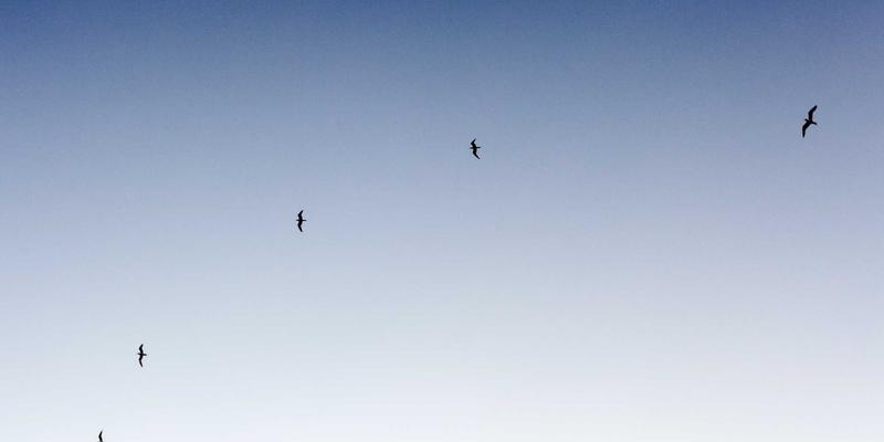 夏日酷饰指南：太阳镜与项链的搭配艺术与选购评测