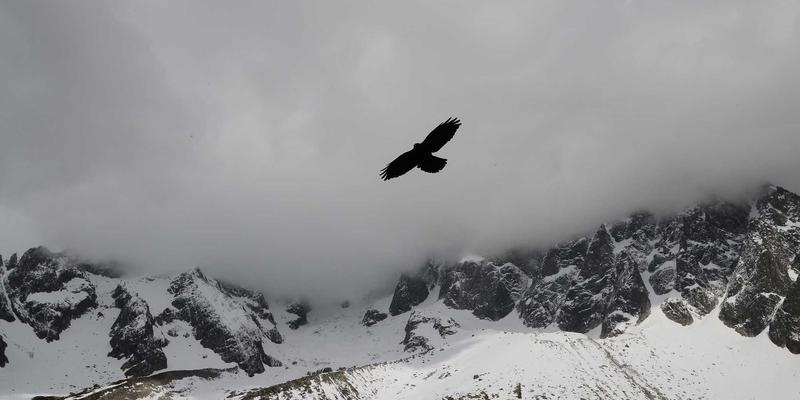 酷饰解码：从太阳镜到耳环，如何用配饰定义你的时尚潮流